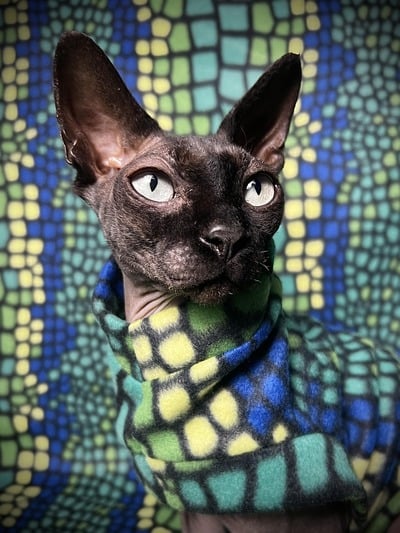 Stained Glass - Fleece