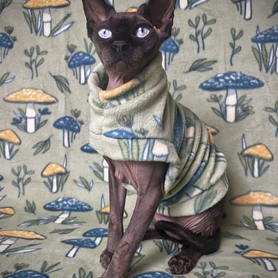 Shroomin’ - luxe fleece