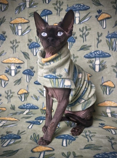 Shroomin’ - Luxe Fleece