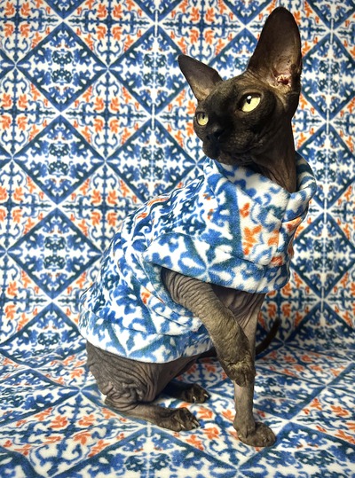 Tiled In (Blue) - Luxe Fleece