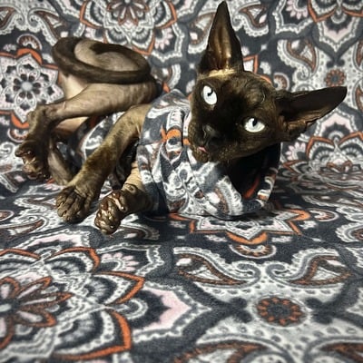 Tiled in (mandala) - luxe fleece