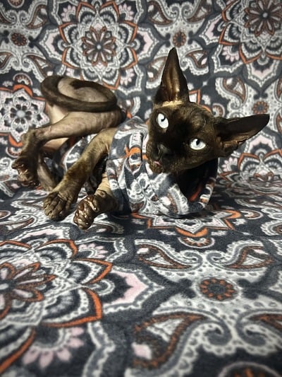 Tiled In (Mandala) - Luxe Fleece