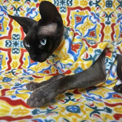 Tiled in (yellow) - luxe fleece