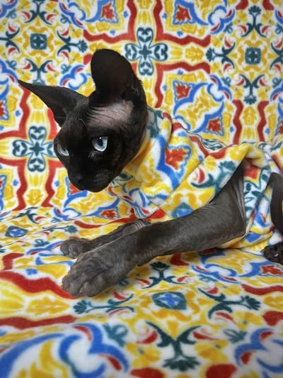 Tiled In (Yellow) - Luxe Fleece