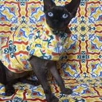 Tiled In (Yellow) - Luxe Fleece - Thumbnail 1