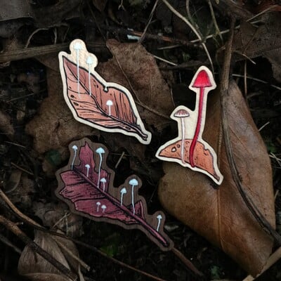 Tiny fungi wood pins - Thumbnail 1