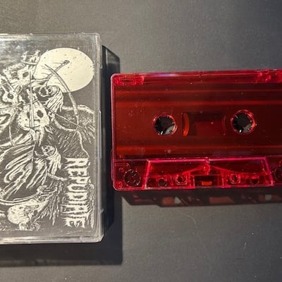 Repudiate - demo 