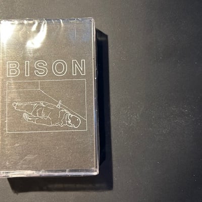Bison - one thousand needles ep