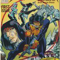 DC Comics The Butcher (1990) 1-5 complete set Mike Baron Shea Anton Pensa