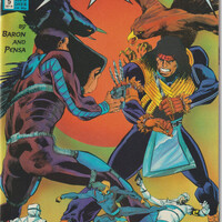 DC Comics The Butcher (1990) 1-5 complete set Mike Baron Shea Anton Pensa - Thumbnail 5