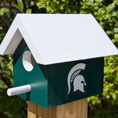 Michigan state bird house