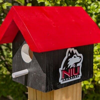 Northern illinois university bird house