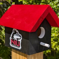 Northern Illinois University Bird House - Thumbnail 1