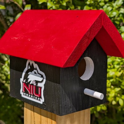 Northern illinois university bird house