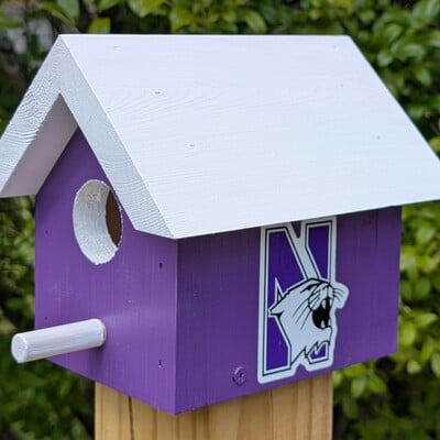 Northwestern university bird house