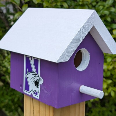 Northwestern university bird house
