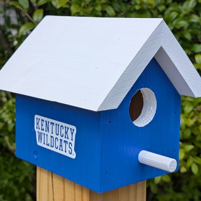 University of kentucky bird house