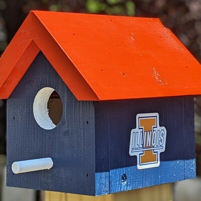 University of illinois retro bird house