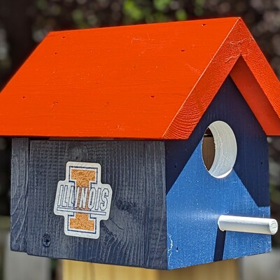 University of illinois retro bird house
