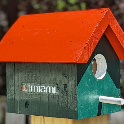 University of miami bird house