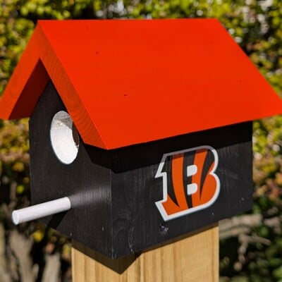 Bengals bird house