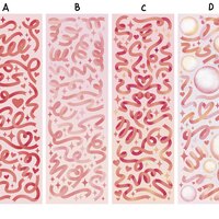 Ribbon Deco Sticker Sheets - Thumbnail 1