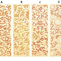 Ribbon Deco Sticker Sheets - Thumbnail 2