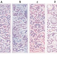 Ribbon Deco Sticker Sheets - Thumbnail 8