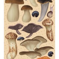 Mushroom Sticker Sheets  - Thumbnail 1
