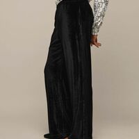 Velvet Pant - Thumbnail 2