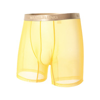 Mesh gauze 2PK Men's Sexy underwear lingerie breathable quick-drying boxer shorts underpants 4040CKPJ - Thumbnail 1