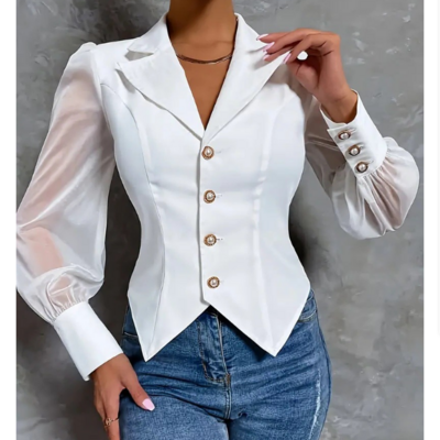Slim Long Sleeves Elegant Tops Shirt