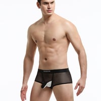 Green Men's Sexy Underwear lingerie mesh holes JJ separator youth Physiological boxer briefs KX015PJ - Thumbnail 4