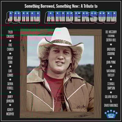 Various artists - something borrowed, something new: a tribute to john anderson