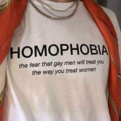 Free shipping-homo the fear that gay men will treat you tee