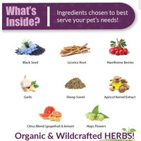 HWF® CLEAN HEART SINCE 1997 FOR DOGS 🐶🐕 - Thumbnail 2