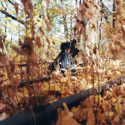 [11/14] billy woods - GOLLIWOG