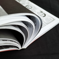 Tiger, Tiger BOOK ONE - Thumbnail 3