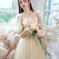 Champagne A-line Tulle Lace Long Prom Dress Champagne Evening Dress - Thumbnail 1