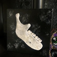 Unframed Original Canvas Painting: Jaw - Thumbnail 1