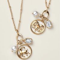 Zodiac Luxe Charms Necklace - Thumbnail 3