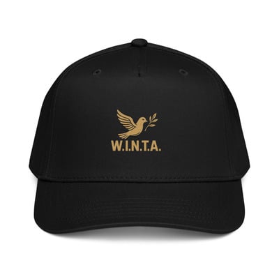 W.i.n.t.a. (war is not the answer) baseball cap