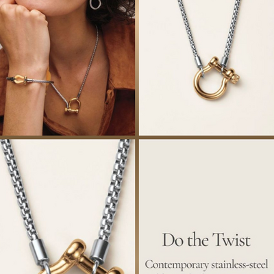 Stainless steel dual tone carabiner luxe necklace