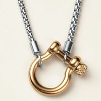Stainless Steel Dual Tone Carabiner Luxe Necklace - Thumbnail 3