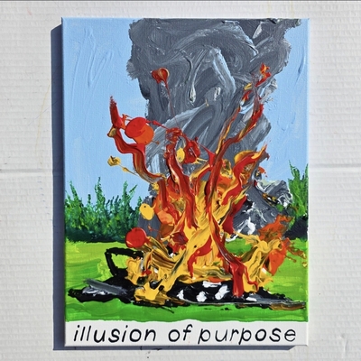 Illusion of purpose 