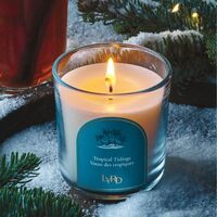 LYRD Tropical Tidings Candle - Thumbnail 1