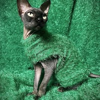 Grinch (On A Budget) - Thumbnail 2