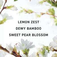 LYRD Pear Blossom & Bamboo Eau de Parfum - Thumbnail 2