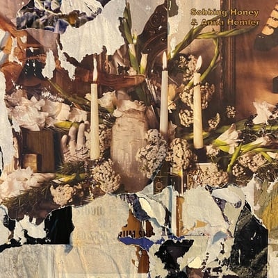 Sobbing honey & anna homler 's/t' lp (gggr-142)