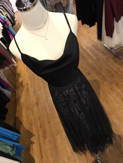 Tulle and Lace Skirt